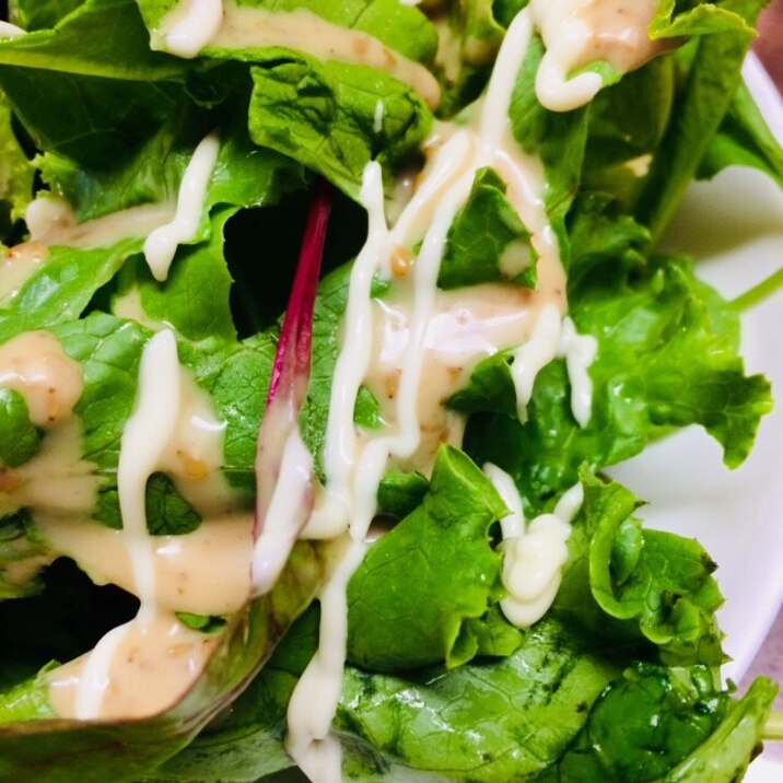 サニーレタスとベビーリーフのサラダ レシピ 作り方 By ドーナツ 楽天レシピ サニーレタスとベビーリーフのサラダ レシピ 作り方 By ドーナツ 楽天レシピ